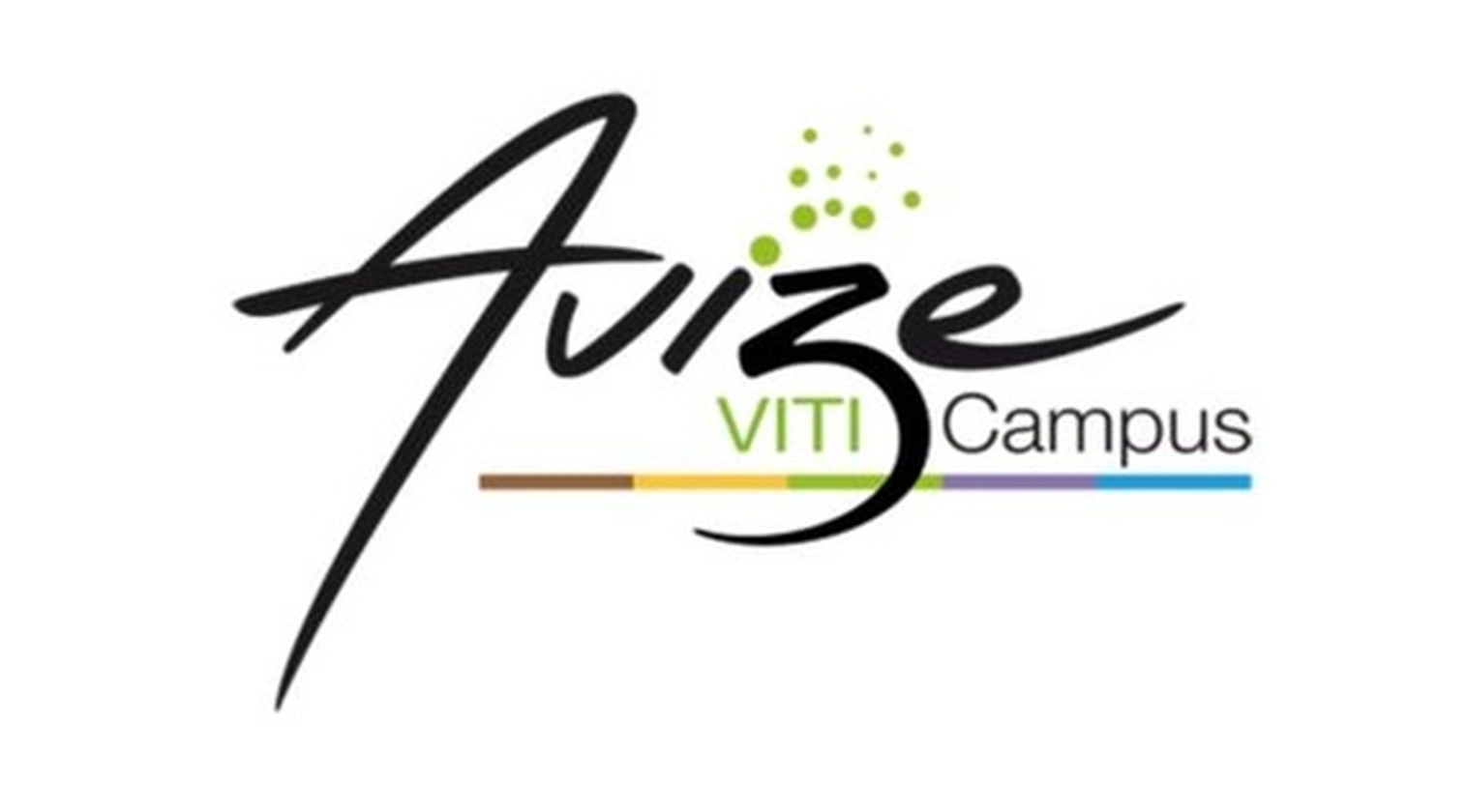 AVIZE